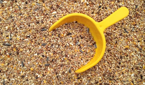 Summer Feed Storage – What You Need to Know