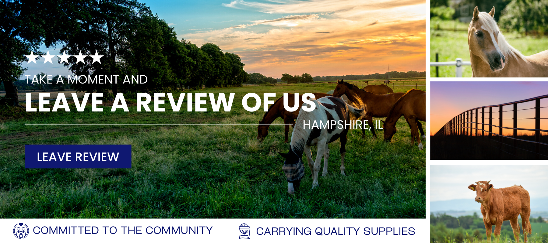 Review us banner