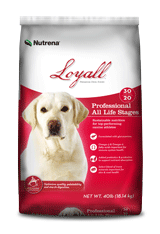 Loyall Professional All Life Stages