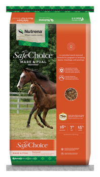SafeChoice Mare & Foal Textured