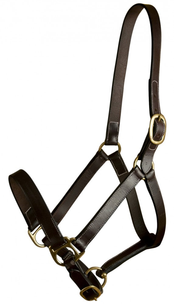 Gatsby Leather Adjustable Turnout Halter, Weanling