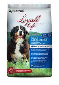 Loyall Life Adult Large Breed Lamb Meal & Rice