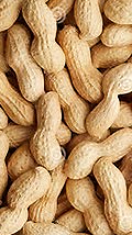 Raw Peanuts In Shell